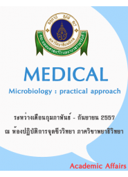 Medical Microbiology:  practical approach